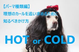 HOT or COLD