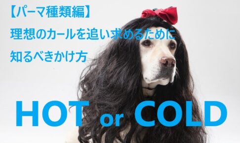HOT or COLD